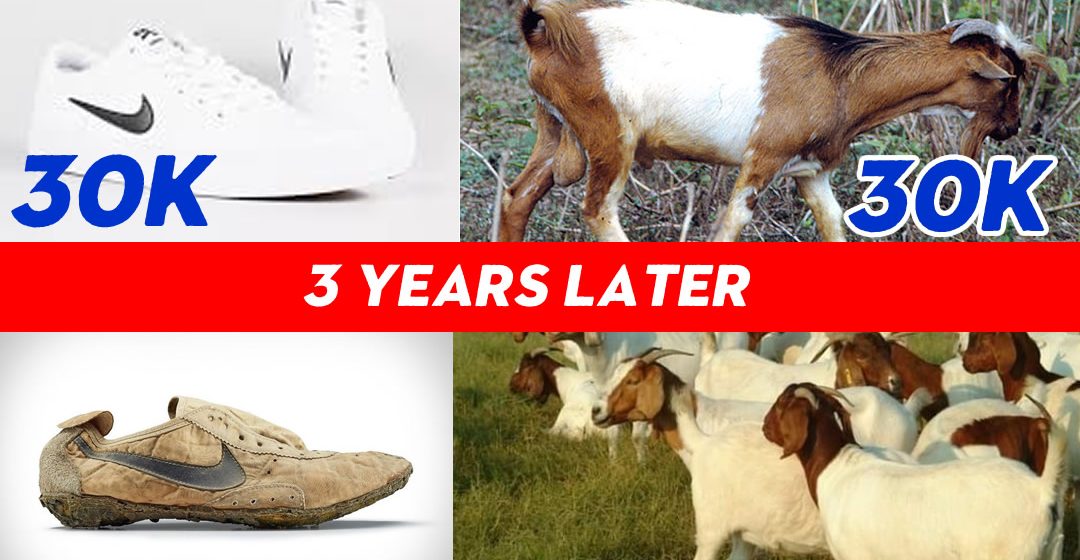 Empowerment Program Analysis: a SHOE 👞or  a GOAT 🐐?