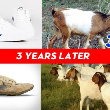 Empowerment Program Analysis: a SHOE 👞or  a GOAT 🐐?