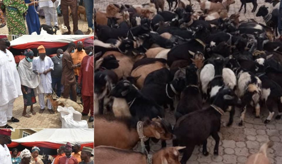 Oyo Federal Lawmaker, Odidiomo Empowers Constituents With Goats