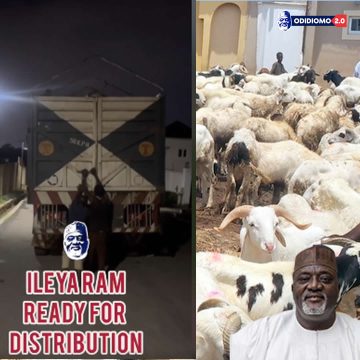 Odidiomo Upholds the Tradition of Giving: Set to Distribute 400 Rams and Bags of Rice for Sallah